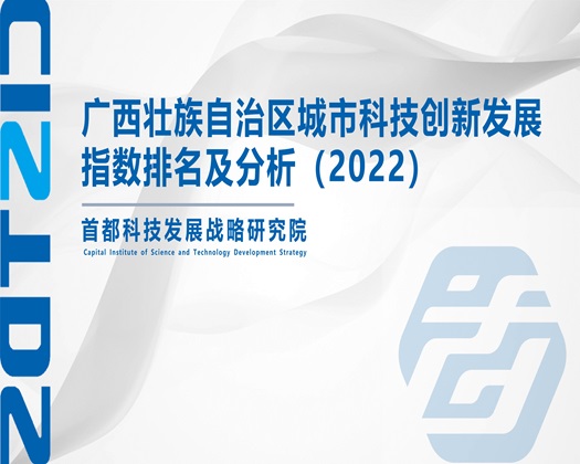 扒开小穴插入视频【成果发布】广西壮族自治区城市科技创新发展指数排名及分析（2022）